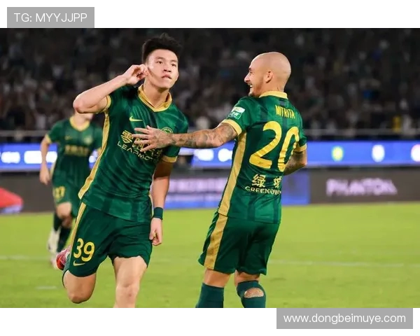 德甲北方和南方球队实力与风格对比