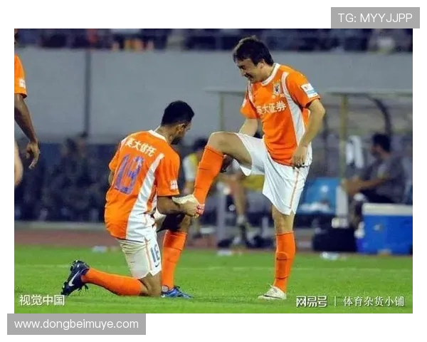 法甲外援市场价值分析及其对球队引援策略的指导